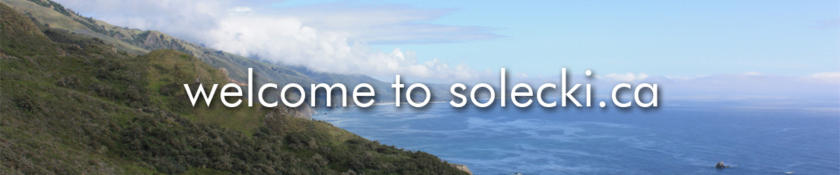 Welcome to solecki.ca